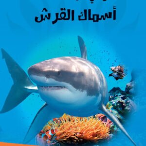 كل شئ عن أسماك القرش