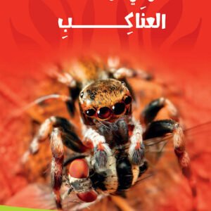 كل شئ عن العناكب